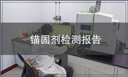 錨固劑檢測報告